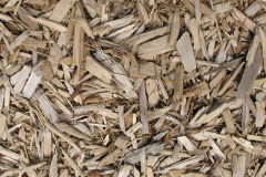 biomass boilers Peppermoor