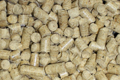 Peppermoor biomass boiler costs